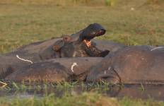 Circuit Victoria Falls et; Chobe Adventure 4J/3N - de Victoria Falls