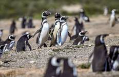 Circuit Aventure personnalisée en Patagonie avec les chutes d'Iguazu, étoiles du jour