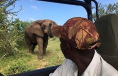 Circuit Safari dans le parc national de Makgadikgadi Pan, Maun et Nxai Pan : Unissez vos forces avec le côté sauvage du Botswana - 8 jours