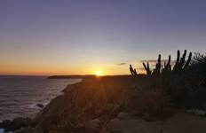 Circuit Visite de Puerto Escondido : Merveilles mexicaines de Mazunte à Mexico