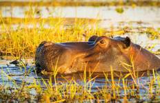 Circuit Namibie, Botswana & Afrique du Sud : Le voyage détaillé avec les chutes Victoria