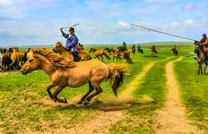 Circuit Circuit privé sur mesure en Mongolie : Gobi nomade et nature
