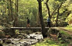 Circuit Trek en Crète : Gorges et Treks côtières