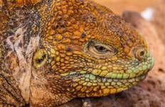 Circuit Galapagos Express 6 jours à la découverte des îles