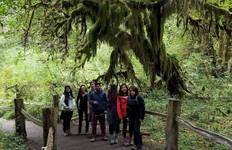 Circuit USA - Best of WA - Parcs nationaux des Cascades du Nord et du Mont Rainier