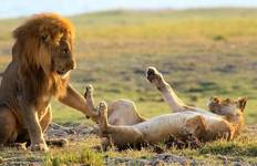 Circuit Moremi - Voyage d'aventure de 14 jours