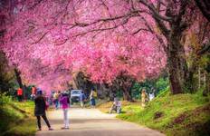 Circuit Forfait Bangkok Basics & Chiang Mai City, visite en petit groupe