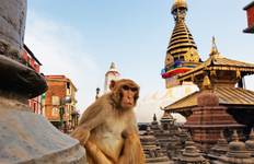 Circuit Circuit étonnant en Inde et au Népal