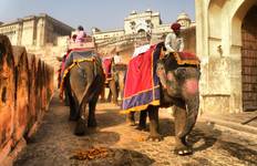 Circuit Visite des forts et des palais du Rajasthan