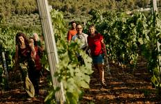 Circuito Premium de Split a Dubrovnik (from Split to Islas Elafiti)