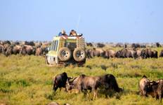 Circuit 15 jours d'ascension du Kilimandjaro, de safari au Serengeti et de vacances à la plage à Zanzibar
