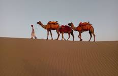 Rajasthan Historische Rundreise Reise