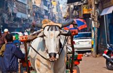 Circuit Introduction à l'Inde du Nord