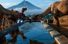 Circuit Rajasthan avec Agra et Varanasi