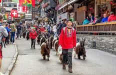 6 Days Independent Switzerland Tour of Moutain Tops Tour