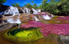 Circuit Circuit de 3 jours à Caño Cristales depuis Bogota