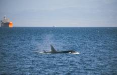 Canadian Masterpiece with Rocky Mountaineer & Alaska Cruise Tour