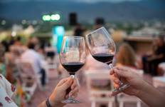 Border Crossing: Santiago de Chile & Mendoza Tour