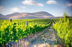6 Days and 5 Nights Cape Town Tour Tour