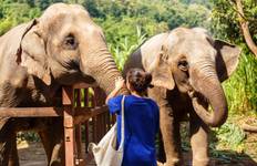 Ultimate Vietnam & Cambodia & Thailand ends Bangkok (4 Star Hotels) Tour