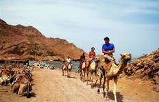 Israel, Jordan and Egypt with Nile Cruise 12 days (Single, 4* Hotel) Tour