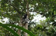 Circuit Circuit de 12 jours à la découverte de Madagascar