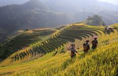 Circuit Nord et centre du Vietnam : Hanoi, Hoi An et aventures à la campagne