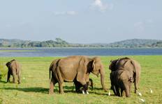 Sri Lanka Solo Weiblich - Rundreisen Reise