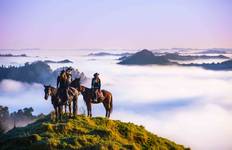 Circuito Circuito selecto de 8 días Pukeko por la isla Norte