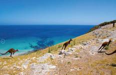 Circuito Adelaida - paquete de 6 días para explorar los Lugares de Interés de la isla Canguro y Adelaida
