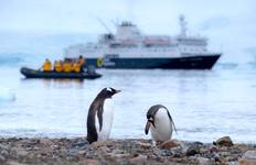 Circuit Le meilleur de l'Antarctique : La nature vierge