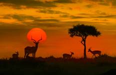 Circuit Magnifique Afrique du Sud