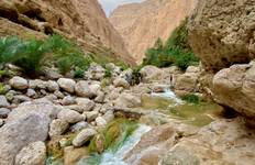 Oman’s Premier Private Experience Tour