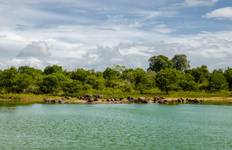 Sri Lanka Round Trip With Beach Vacation on the southwest Coast or in the Maldives (incl. flight) Tour