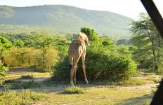 7 Days Masai Mara, the lakes & Amboseli safari. Tour
