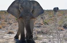 Circuit 18 JOURS - CIRCUIT TERRESTRE D'EXPLORATION ÉCOLOGIQUE DE L'AFRIQUE DU SUD / AVEC HÉBERGEMENT