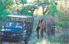 Circuit 5 JOURS - KRUGER SAFARI OVERLAND TOUR / HÉBERGÉ