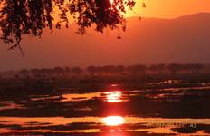 8 Days 4 Countries tour and safaris. Livingstone-Zambia, Katima Mulil- Nambia, Chobe- Botswana & Vic Fall-Zimbabwe Tour