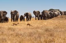 Circuito De Nairobi a Joburg por tierra: Cráteres y campamento
