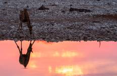 Kruger, Falls & Zimbabwe: Mineral Pools & National Parks Tour