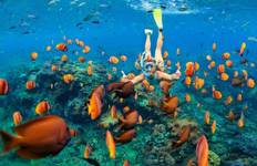 Vietnam Strandurlaub in 12 Tagen - Halong Bucht / Phu Quoc Insel Reise