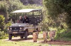 Circuit CAPE SCENIC SAFARI - Circuit avec chauffeur :  5 jours