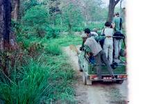 Circuit Chitwan Jungle Safari 3 nuits 4 jours