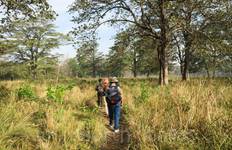 Bardiya Jungle Safari 4 Days Tour
