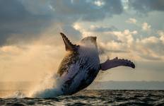 Circuit 18 jours Madagascar Expedition circuit en groupe départ 2025 (spécialement pour les seniors)