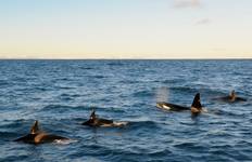 Iceland North & South - 6 days Tour