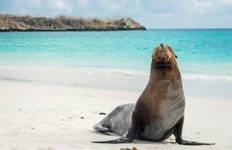 Ecuador & Galapagos Islands Tour
