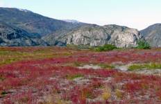 Between Icebergs and Glaciers Tour