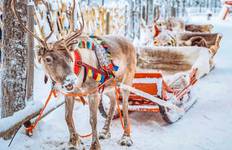 Tailor-Made 4 Days Finland Northern Lights Private Tour Tour