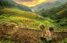 Circuit Le charme du Vietnam en 11 jours